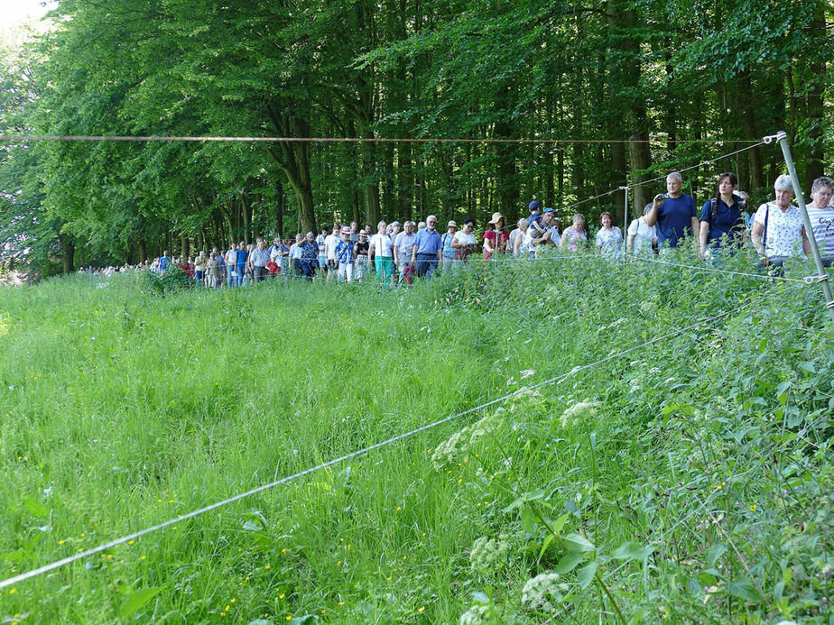 Festgottesdienst zum 1.000 Todestag des Heiligen Heimerads auf dem Hasunger Berg (Foto: Karl-Franz Thiede)